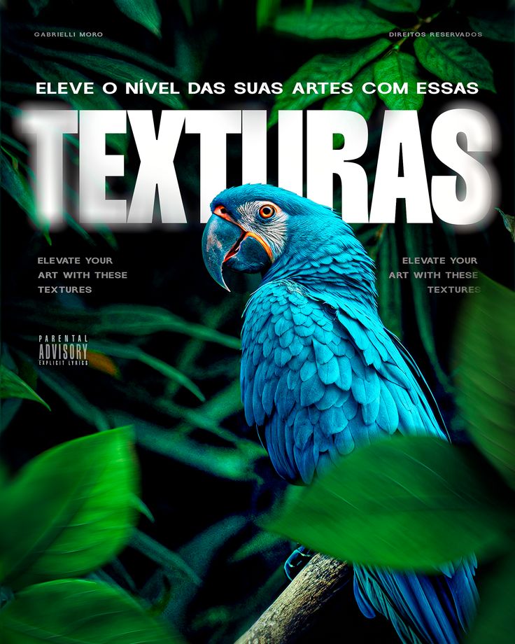 Design 9 criado pela Impacto Digital